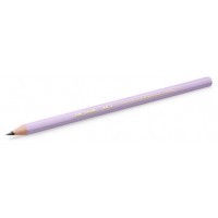 LAPIZ GRAFITO HB PASTEL BIC 518307 (MIN12) (Espera 4 dias)