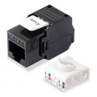 Kit 8 Uds Conector Hembra Rj45 Utp Cat6a Panel