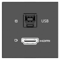 KRAMER ROOM CONNECTIVITY PASSIVE BLACK MODULE WITH 1 HDMI PORT + 1 USBB PORT INPUT.- MD-H+B/AF(B) (80-000358) (Espera 4 dias)