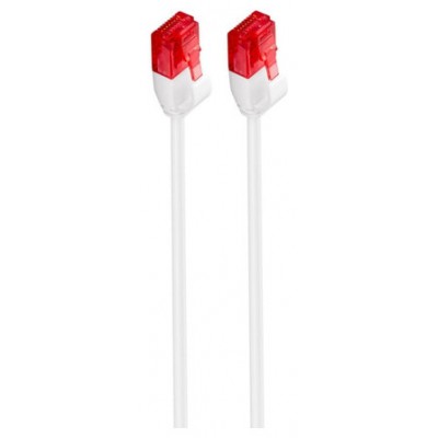 Ewent IM1038 cable de red 1,5 m Cat6 U/UTP (UTP) Blanco (Espera 4 dias)