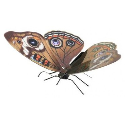 MAQUETA 3D METAL FASCINATIONS MARIPOSA BUCKEYE MONTAJE