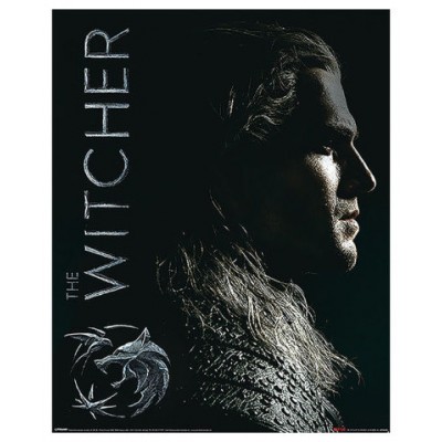 MINI POSTER (SHADOWS EMBRACE) THE WITCHER PYRAMID REDSTRING MPP50789 (Espera 4 dias)