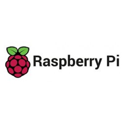 RASPBERRY PI 4 KIT - CAJA / USB 16GB / FUENTE A/C / HDMI / DISIPADOR (RB-KIT-1041) (Espera 4 dias)